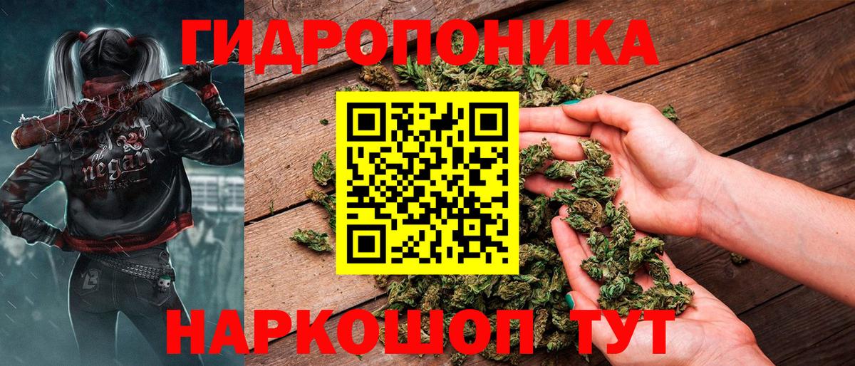 Конопля AK-47  Марихуана семена  Егорьевск  Бошки марихуана White Widow  Вход с VPN 